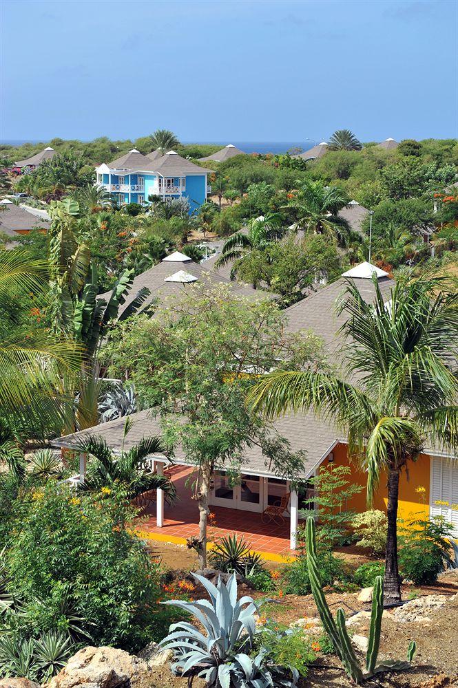 Chogogo Resort Curacao Ngoại thất bức ảnh