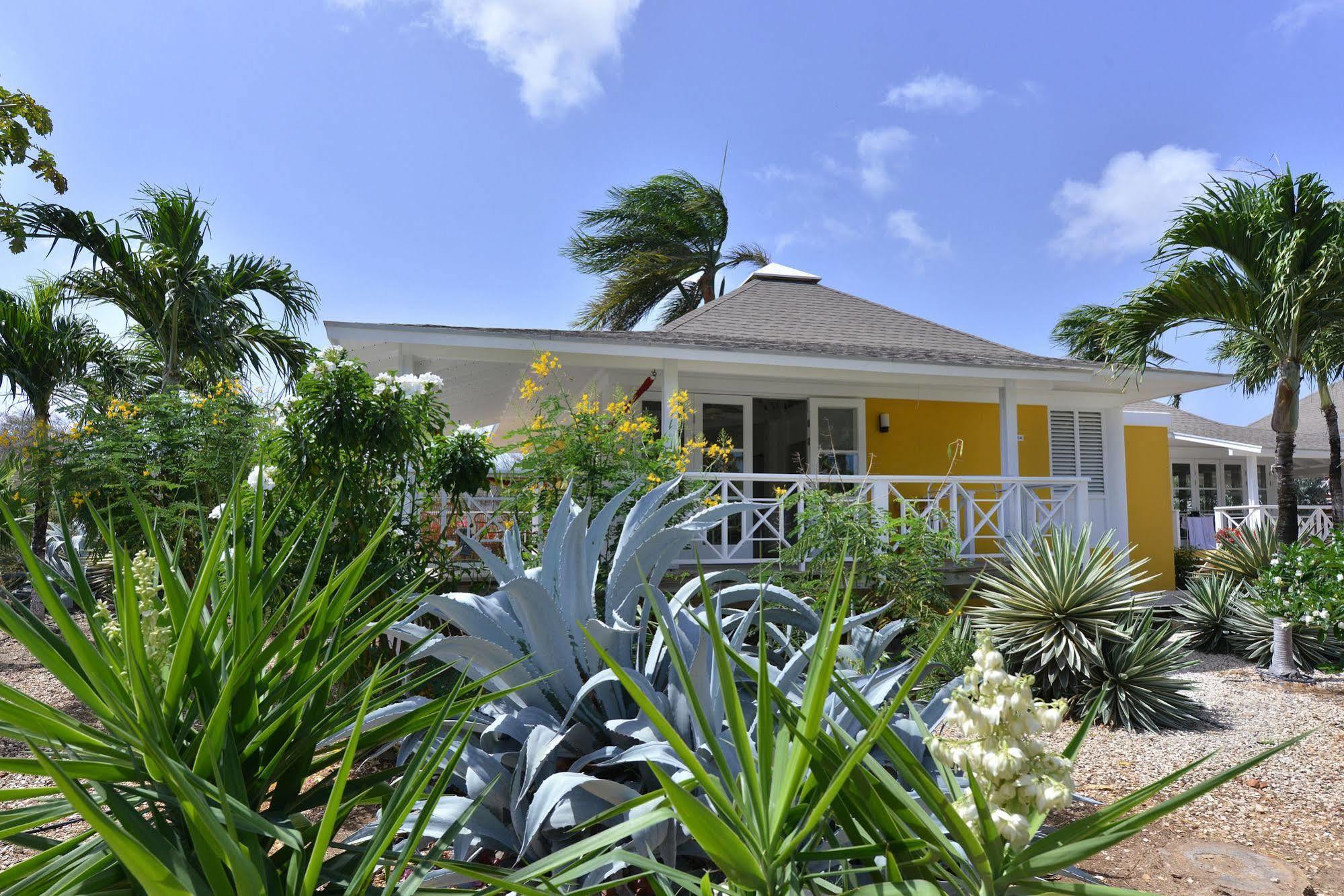 Chogogo Resort Curacao Ngoại thất bức ảnh